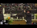 2025 National Breeders Showcase Auction - Day 1 AuctionPro