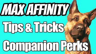 Perfect Fallout 4 Playthrough Part 9 - Affinity and Companion Perks
