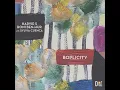 Boplicity (feat. Sylvia Cuenca) - Harvie S & Roni Ben-Hur
