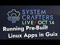 Running Pre-Built Linux Apps in Guix