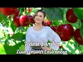 Download Lagu Ioana Sandru 🍒Colaj Vlaska 🍒 Danturi 🍒 Hore 🍒 Ziua com. Castranova 🍒  Colaj petrecere 2025 🍒