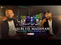 Download Lagu MMJ \u0026 MR.GAANWALA - Qalbi Fil Madinah | Live Version | قلبي في المدينة