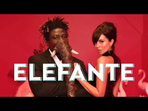 Download MP3 NK - ELEFANTE (Official Video)