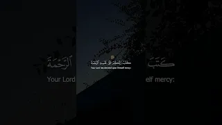 سورة الأنعام الآية 54 تلاوة ناصر القطامي 