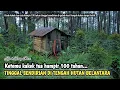 Lagu MENGUNJUNGI KAKEK TUA USIA 100 TAHUN TINGGAL SENDIRIAN DI TENGAH HUTAN BELANTARA...