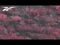 Download Lagu Sleep Token - Even In Arcadia (FULL ALBUM)