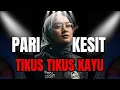 Lagu Tikus Tikus Kayu - Pari Kesit