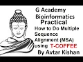 Bioinformatics Practical How to do MSA Multiple Sequence Alignment using T-Coffee G ACADEMY