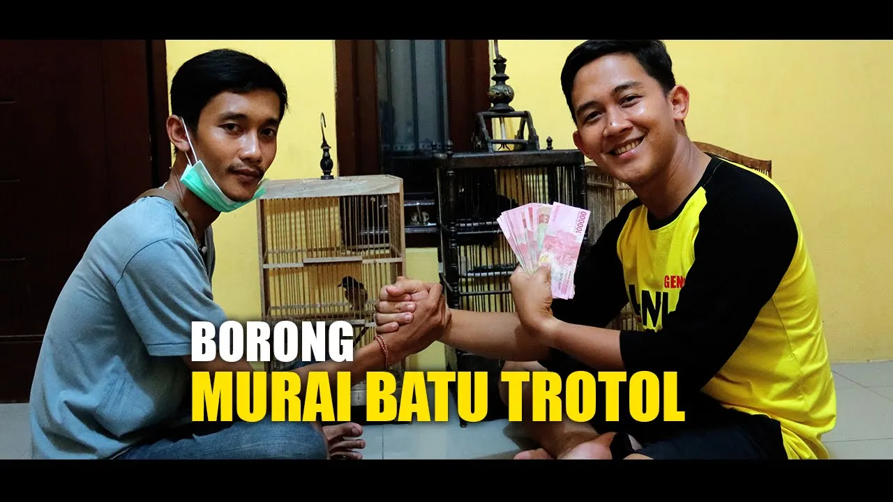 
          
          
          
            
            BORONG MURAI TROTOL HARGA JUTAAN!!
          
        . 