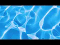 Download Lagu mousai - Siphonophore (VISUAL WARNING)