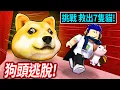 Download Lagu ROBLOX 巨大狗頭逃脫！我的貓貓被抓走了！你可以找到+救出所有小貓嗎?!【Doge Head Escape - 有感筆電】