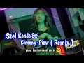 Download Lagu Stel Kendo Stel Kenceng- Piaw ( Remix )