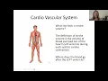 Benefits of Massage for the Cardiovascular System for the MBLEx Massage Bodywork Licensing Exam