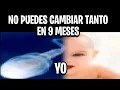 Lagu Shitposting Compilation V96 (MEMES de la SEMANA)