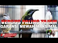 Download Lagu KOMPILASI MASTERAN MEWAH KAPAS TEMBAK VS CUCAK CUNGKOK VS CENDET SULTAN ! MASTERAN AUDIO JERNIH TOP