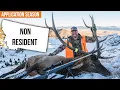 THE MOST Complicated Draw System on the Planet Montana Application Strategy
