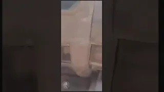 لحظة القبض على الشهيد محمد صديق من مليشيا حميتي الدعم السريع 