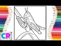 Grasshopper Coloring in the Yosef - Eclipse NCS Release