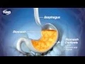The Science Behind TUMS