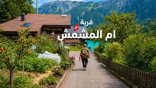 إنترلاكن كما لم ترها من قبل – قرية أم المشمش وجولة على ضفاف النهر | Interlaken, Switzerland 4K