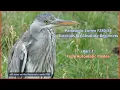 Download Lagu Panasonic Lumix FZ80/82 For Absolute Beginners:  Part 1 Using the Fully Automatic Modes.