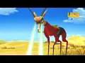 Download Lagu Superman Springbok | Leon the Lion | 25' Compilation | Crazy animals