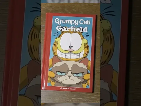 There was a Garfield / Grumpy Cat crossover???
