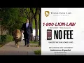 Burleson Car Accident Lawyer FREE CONSULTATION Thompson Law 1-800-LION-LAW
