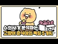 Download Lagu 수의사가 분석하는 고양이 춘식이의 특징 5가지 (Veterinarian analyzes cat Choonsik)