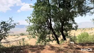 فضل شاكر هوى الجنوب      دندنها