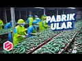 Download Lagu BEGINI TERNYATA ULAR DIPROSES, Ini Pabrik Dan Peternakan Paling Unik, Dari Ular, Buaya Sampai Paus.