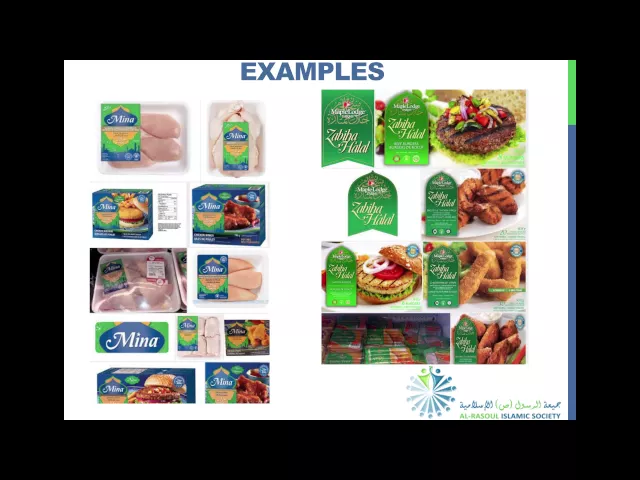 ⁣Examples of Halal and Haram Products in Some Markets - Sayed Aqeel Shah