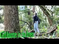 Lagu ทักษะการเอาชีวิตรอดในป่าของ สาวดอย Bushcraft survival skills video hunter girl
