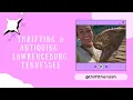 Hidden Gems in Lawrenceburg TN Thrift Antique Haul