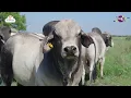 Channel
