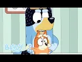 Download Lagu Papa en Bingo Spelen het ‘Slecht Humeur’-Spel met Bluey 💙 | Bluey - Officieel Nederlands kanaal