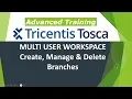 TRICENTIS Tosca 16 0 - Lesson 42 Multi-user Workspace Create Manage Branch Delete Branch