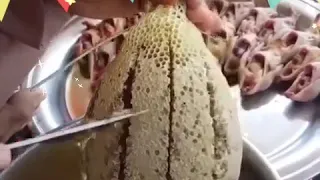 لو فاتك الفيديو ده ومش سمعته يبقي فاتك نص عمرك  شاهدوسوف تعرف انك لن تخسر نص عمرك بسبب هذاالفيديو  دندنها