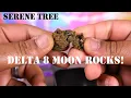 Serene Tree Delta 8 MOON ROCK Review VapingwithTwisted420