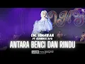 Download Lagu ANTARA BENCI DAN RINDU (JADUL) - DIANDRA AYU X OM HIMAWAN | GUS IQDAM HARLAH ST KE 6 | FYP TIKTOK