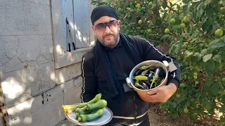 يافرحي ياسعدي البدوية شرات كوكوط جديدة ولد الغربة معجبوش الحال 