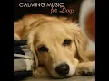Pet Therapy - Slow Music with Waterfall Sounds