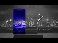 No Te Vayas Al Bosque - Hello Seahorse! feat. Ely Guerra
