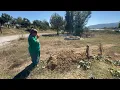 Download Lagu Anamin feryatları mezarlığı inletti😔sen uyu babam herkes...