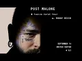 2022 Post Malone Chicago sunflower
