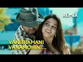 Vanithamani Vanamohini Remix