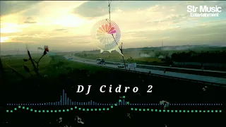 Download DJ Cidro 2 | DJ viral tiktok 2021| panas panase Srengenge kui|( Chindi cintya dewi) MP3