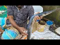 Download Lagu Big Kakila Fish Cutting skills Live In Market l Excellent Kaitta Fish Cutting By Expert Cutter