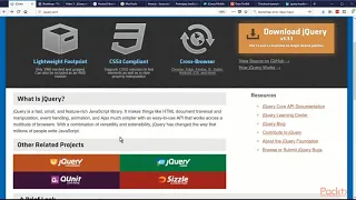 Real-World java script Pro-Level Techniques Why packtpub com