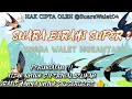 Download Lagu SUARA BIRAHI SUPER 2 2023 | Suara Walet Terbaru